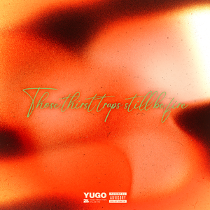 大鸡巴操骚逼淫语对白视频
