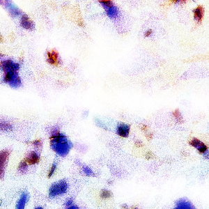 大鸡巴操骚逼淫语对白视频
