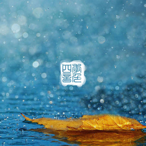 大鸡巴操骚逼淫语对白视频
